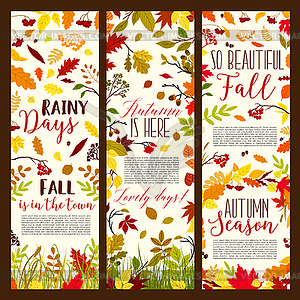 Autumn or fall seasonal banners set - vector clipart