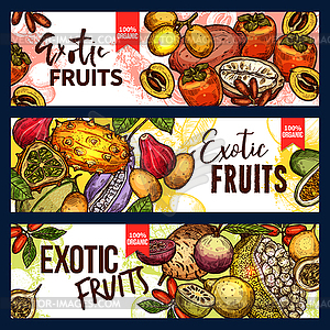 Exotic fruit and tropical berry sketch banner - vector image