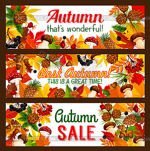 Autumn sale offer banner with fall nature frame - vector clipart