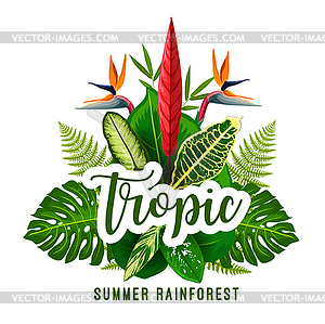 Palm leaf poster for summer tropical holidays - vector image