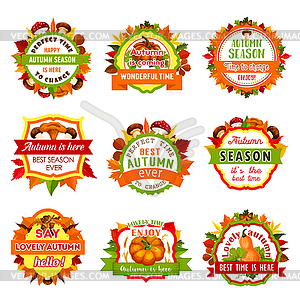Autumn nature badge set with leaf and pumpkin - vector clipart