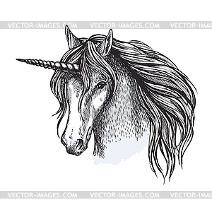 Unicorn horse fairy tale animal sketch - vector clip art