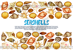 Seashell banner with marine mollusc shell border - vector clipart