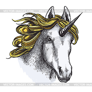 Unicorn sketch with head of magic animal - vector image