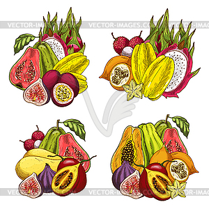 Exotic fruit bundle sketch of tropical product - vector EPS clipart