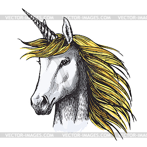 Unicorn horse sketch of fairy or heraldic animal - vector image