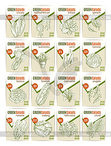 Sketch price cards for salads vetables - vector clip art