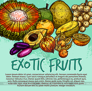 Exotic fruit and tropical berry sketch poster - vector clipart / vector image