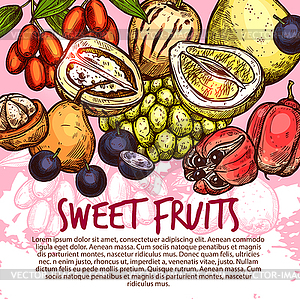 Exotic fruit or sweet tropical berry sketch poster - vector image