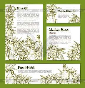 Olives and olive oil sketch posters set - vector clipart