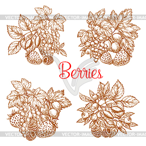 Sketch berry fresh farm harvest - vector clipart