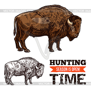 Bison, buffalo, bull or ox wild animal sketch - stock vector clipart