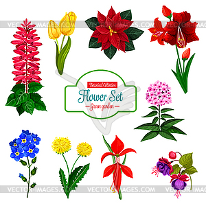 Flower icon of spring garden flowering plant - vector image