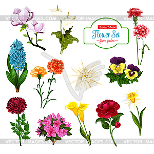 Flower of spring blooming plant and tree icon - royalty-free vector image