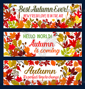 Autumn season welcoming banner with fallen leaf - vector clipart