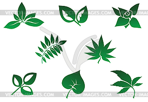 Set of leaves icon - vector clipart