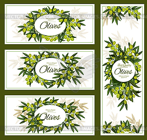 Olives and organic olive oil posters - vector clip art