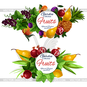 Fruit and berry food labels - vector image