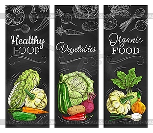 Cabbage, carrot, pepper vegetable on blackboard - color vector clipart