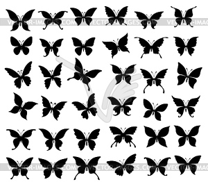 Butterflies and moth. Insect black silhouettes - vector clip art
