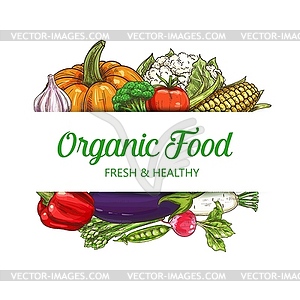 Organic vegetarian food, farm vegetables - vector image