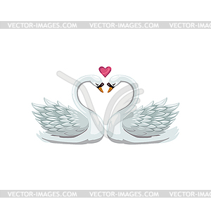 Swan birds in love - vector clip art