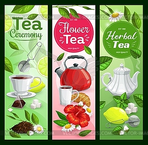 Tea cups, leaves, teapot and sugar - vector clip art