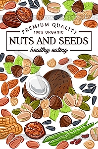 Organic nuts, seeds and legume beans food - vector clipart