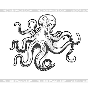 Octopus icon, marine seafood and ocean fishing - vector clip art