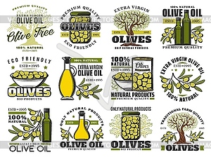 Olive oil bottle, green fruit, tree branch icons - vector image