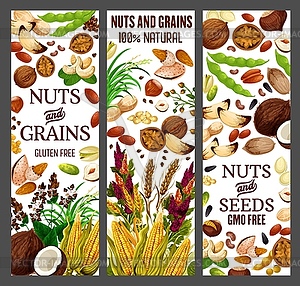 Superfood nuts and healthy GMO free cereal grains - vector clipart