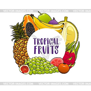 Exotic fruits frame, banana, papaya, grapes, guava - vector clipart