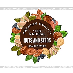 Seeds and nuts, peanut and kernels, pistachios - vector clip art