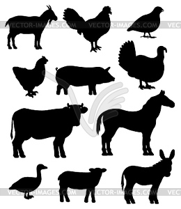 Poultry birds and farm animals cattle - vector clipart