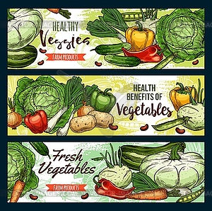 Organic vegetables, healthy vegetarian food - vector clipart