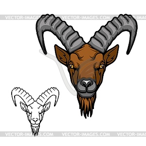 Head of goat or ibex with ridged horns and beard - vector clipart