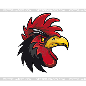 Bird with cockscomb black rooster - vector clip art
