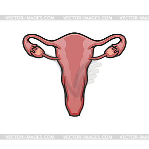 Женская матка, значок органа репродуктивной системы - векторное изображение