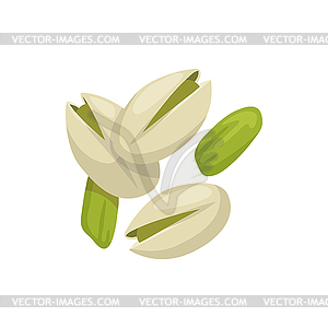 Peeled pistachio nuts and in hard shell - vector clip art