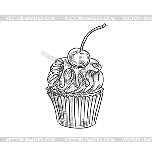Chocolate muffin cupcake with cherry cake - vector clipart