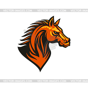Mustang horse head isolate equestrian sport mascot - vector image