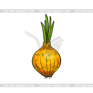 Однотонный томатный ягодный овощ - стоковое векторное изображение