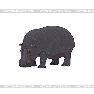 Hippopotamus, African safari zoo, hunt wild animal - color vector clipart