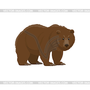 Brown bear, hunt and zoo wild animal - vector image