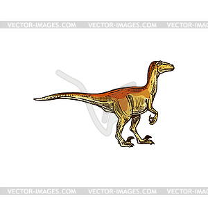 Dinosaur tyrannosaurus or T-rex animal - vector clipart