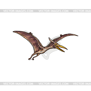 Птеранодон летающий птеродактиль эскиз - изображение векторного клипарта