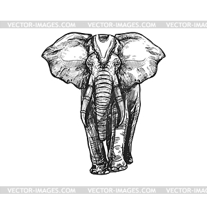 White elephant, Buddhism religion sketch symbol - vector image