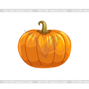 Оранжевая свежая тыква со стеблем овощей - клипарт в векторе / векторное изображение