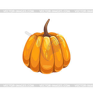 Gourd pumpkin symbol of Halloween and Thanksgiving - vector clipart