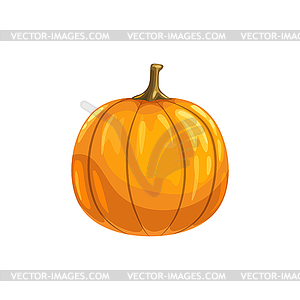 Gourd pumpkin symbol of Halloween and Thanksgiving - vector clip art